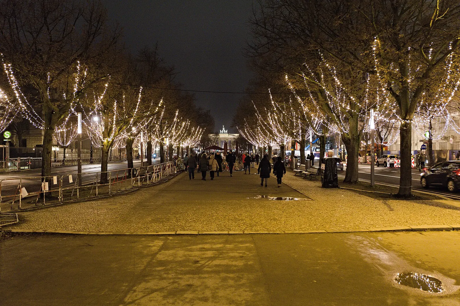 A wide city boulevard at night lined with bare trees wrapped in warm white holiday lights