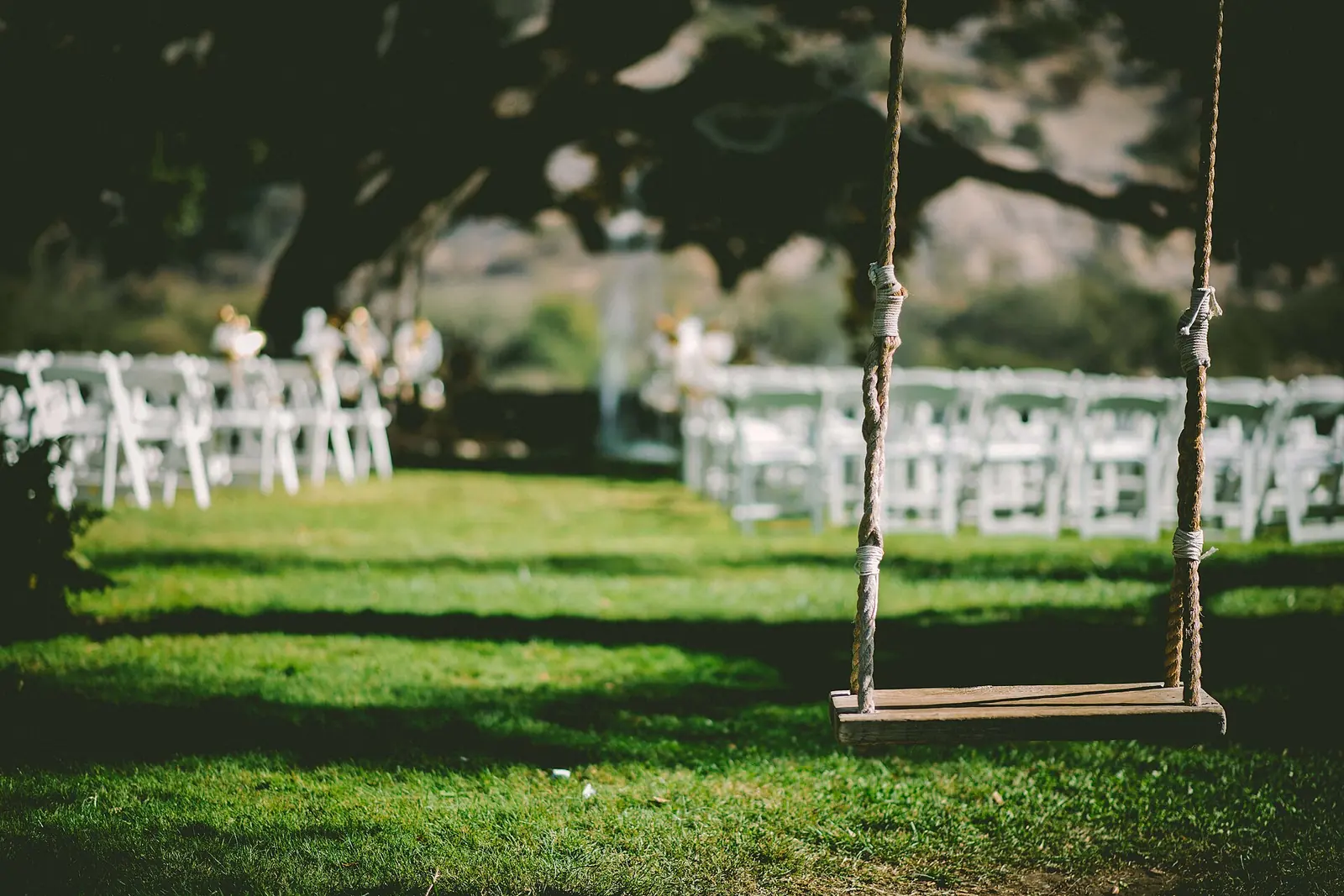 A wooden rope swing hangs from a tree over a green lawn set with rows of white wedding ceremony chairs