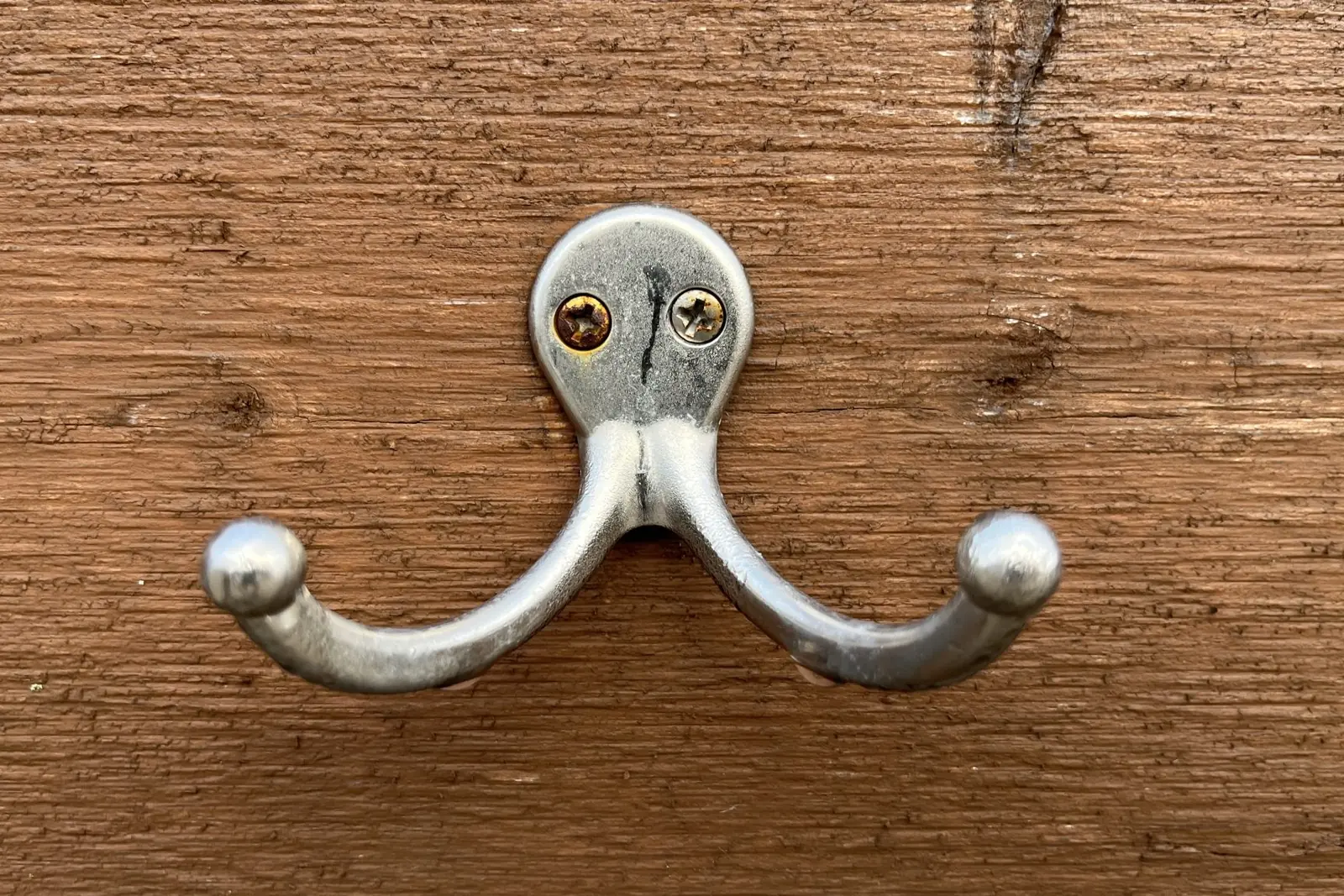 Close-up of a silver double coat hook screwed into a wooden board