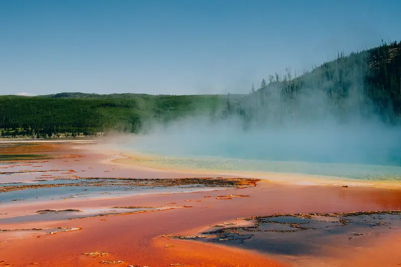 Steam drifts over the orange and turquoise bands of a hot spring in Yellowstone National Park, edged by pine forest