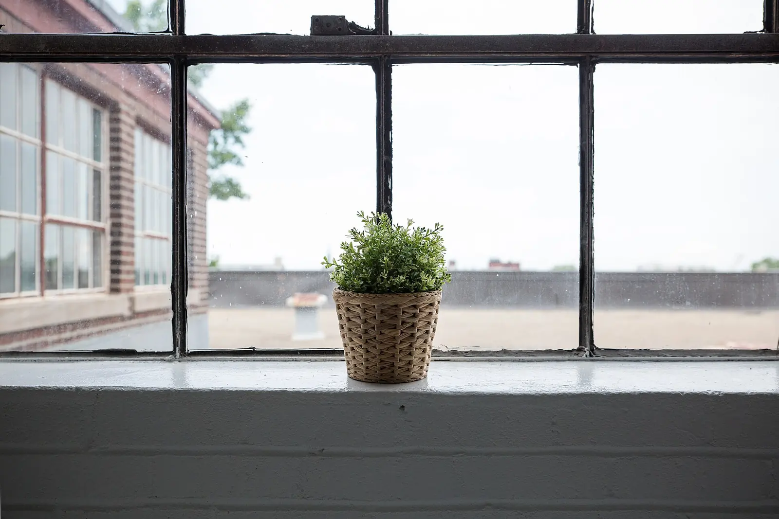 A small potted plant in a woven basket sits on the sill of a large black-framed industrial window
