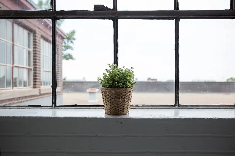 A small potted plant in a woven basket sits on the sill of a large black-framed industrial window
